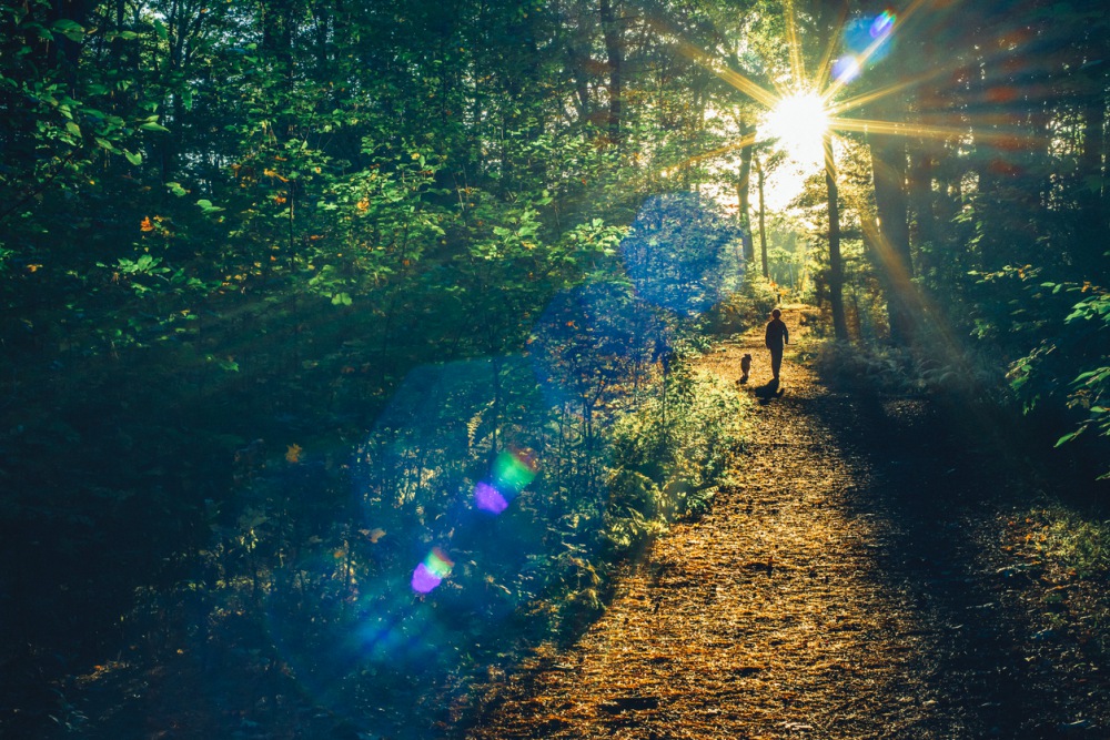 Top 10 natuurgebieden voor jou en je hond