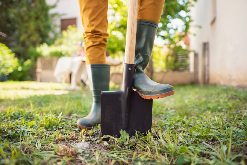 Top 10 meest nuttige benodigdheden voor in de tuin